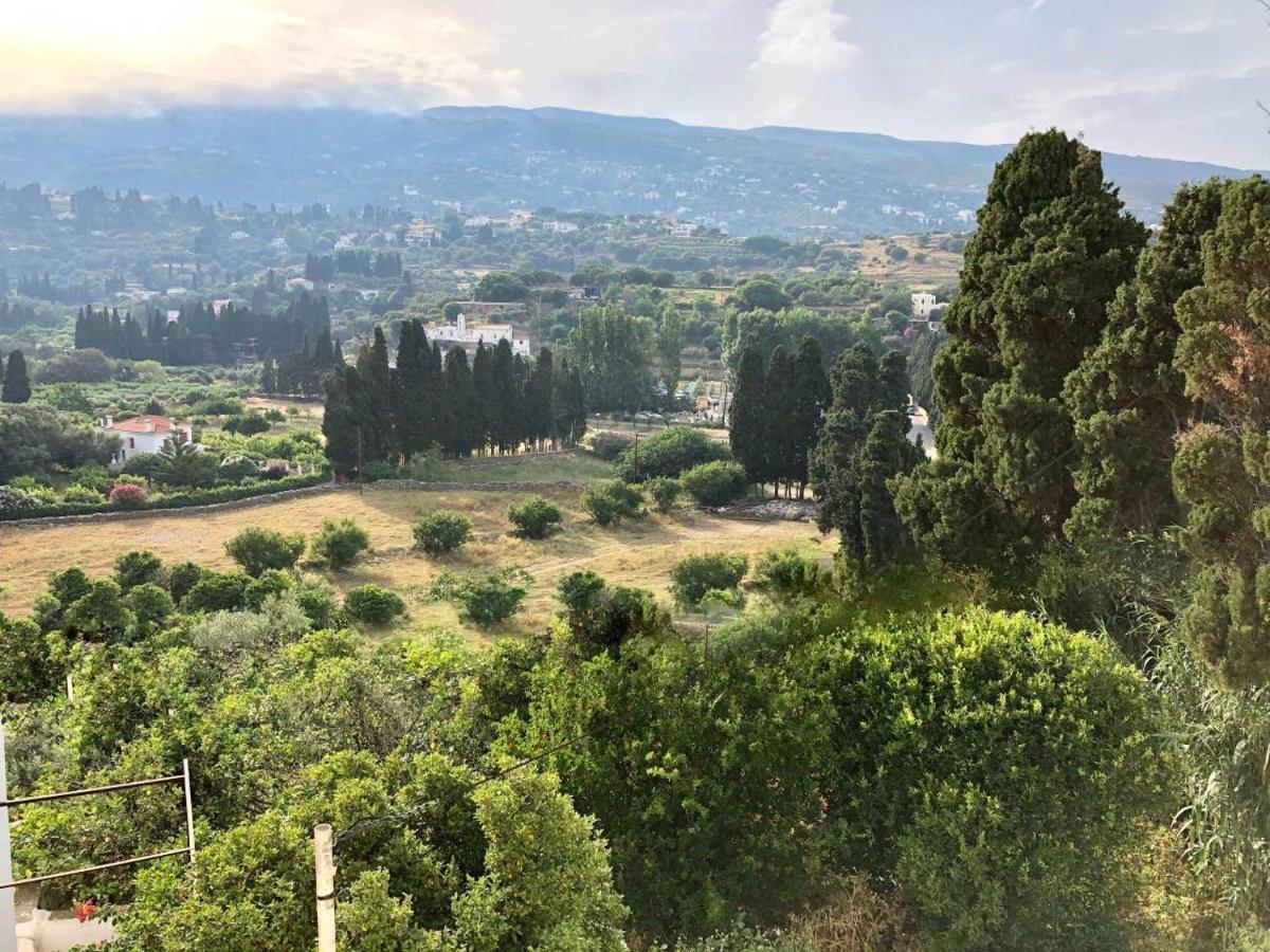 Villa Andros Epoque Livádhia Dış mekan fotoğraf