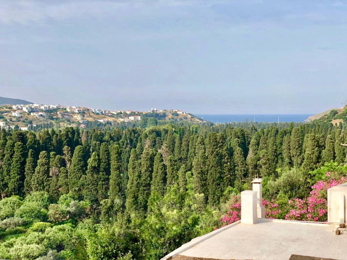 Villa Andros Epoque Livádhia Dış mekan fotoğraf